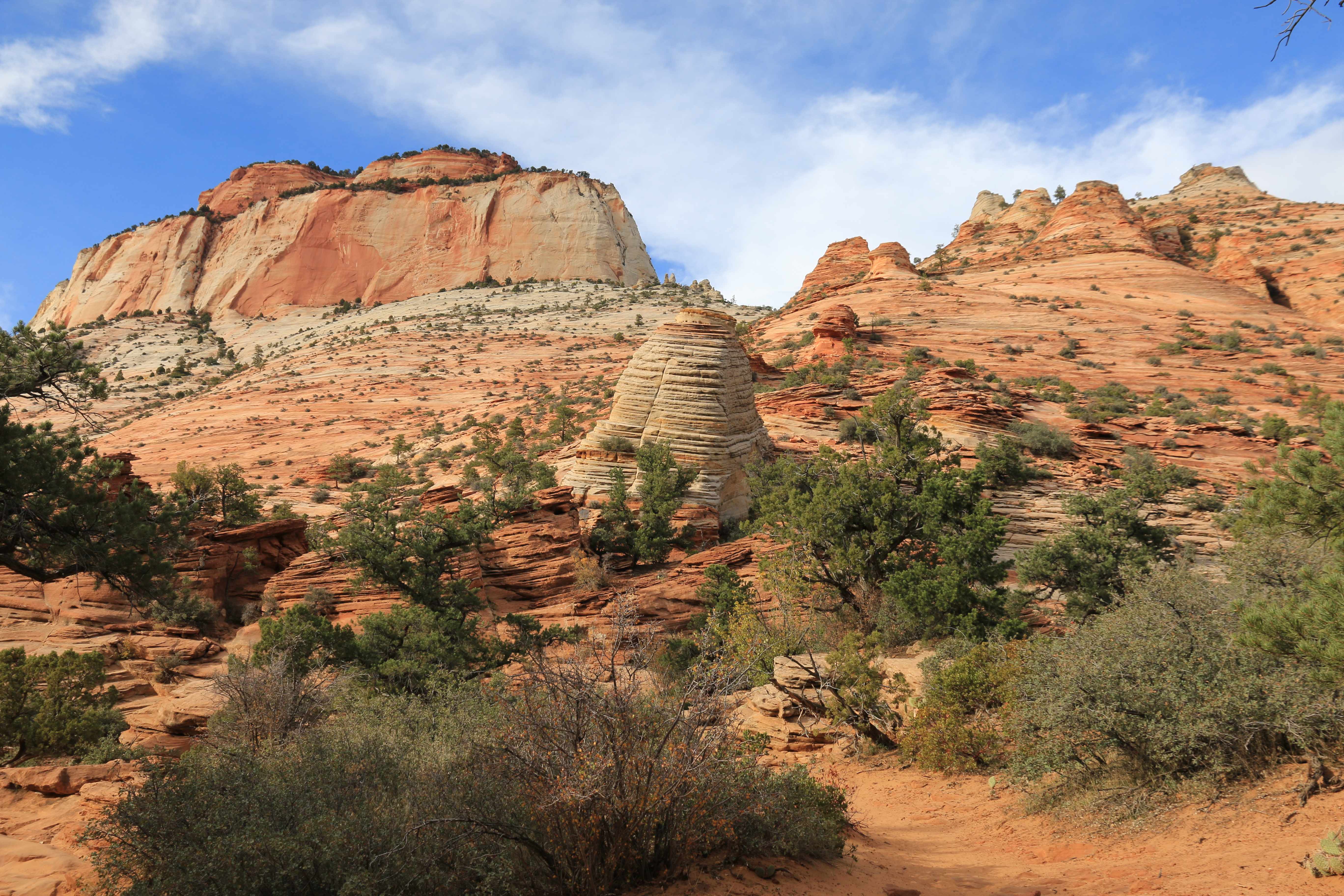 Zion NP
